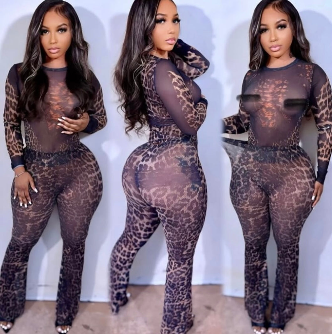 Suga set