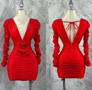 Red rose mini dress by
