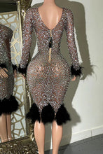 Load image into Gallery viewer, Paisley Feather Diamante Dress
